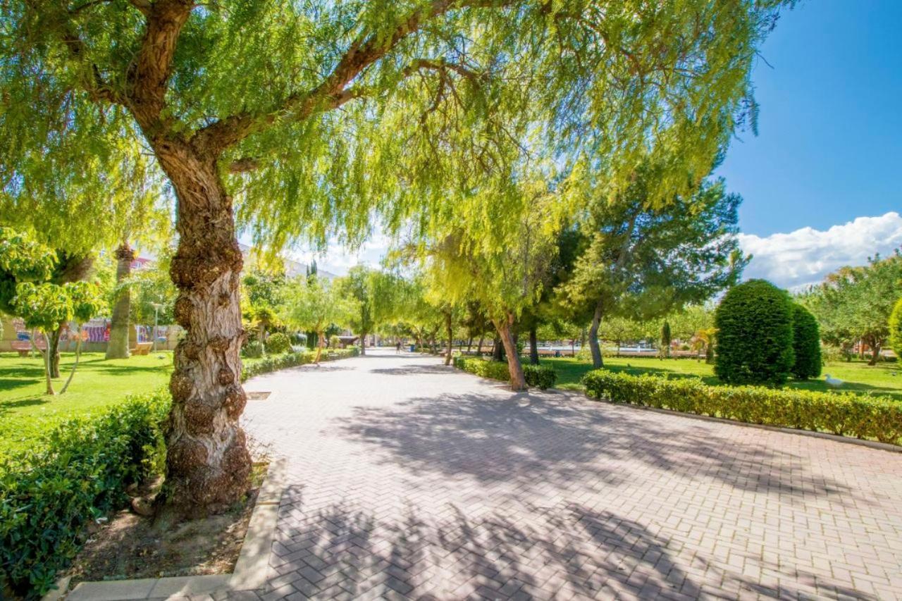 Apartamentos Villa Madrid Torrevieja Eksteriør billede